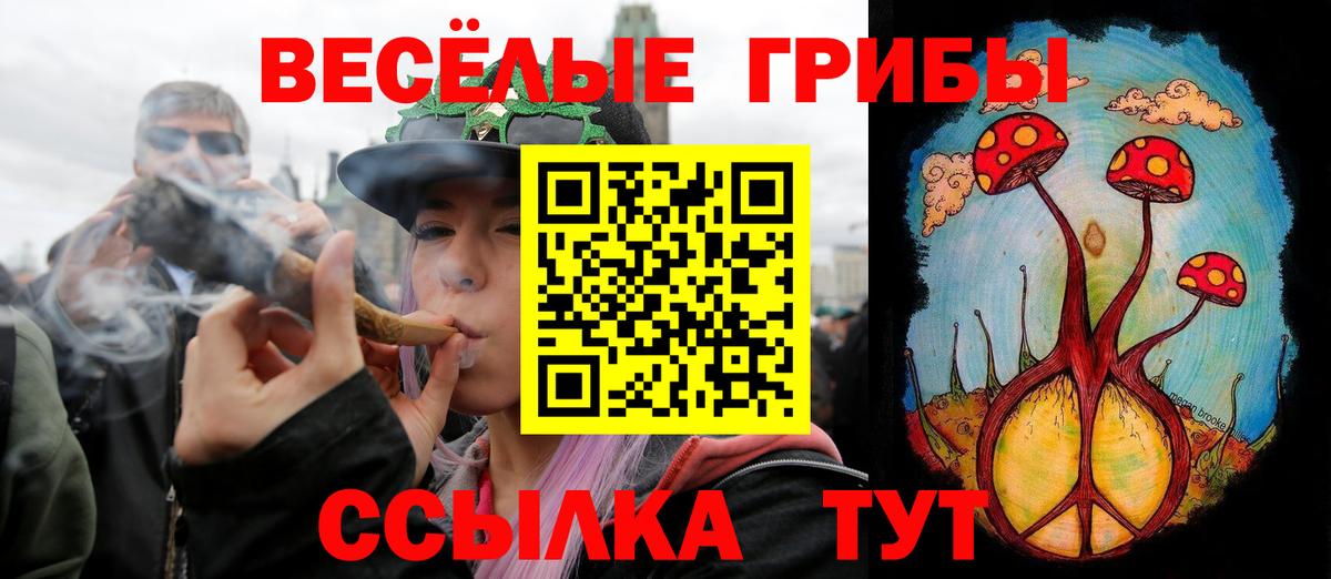Галлюциногенные грибы прущие грибы  Вход с VPN  Сатка 