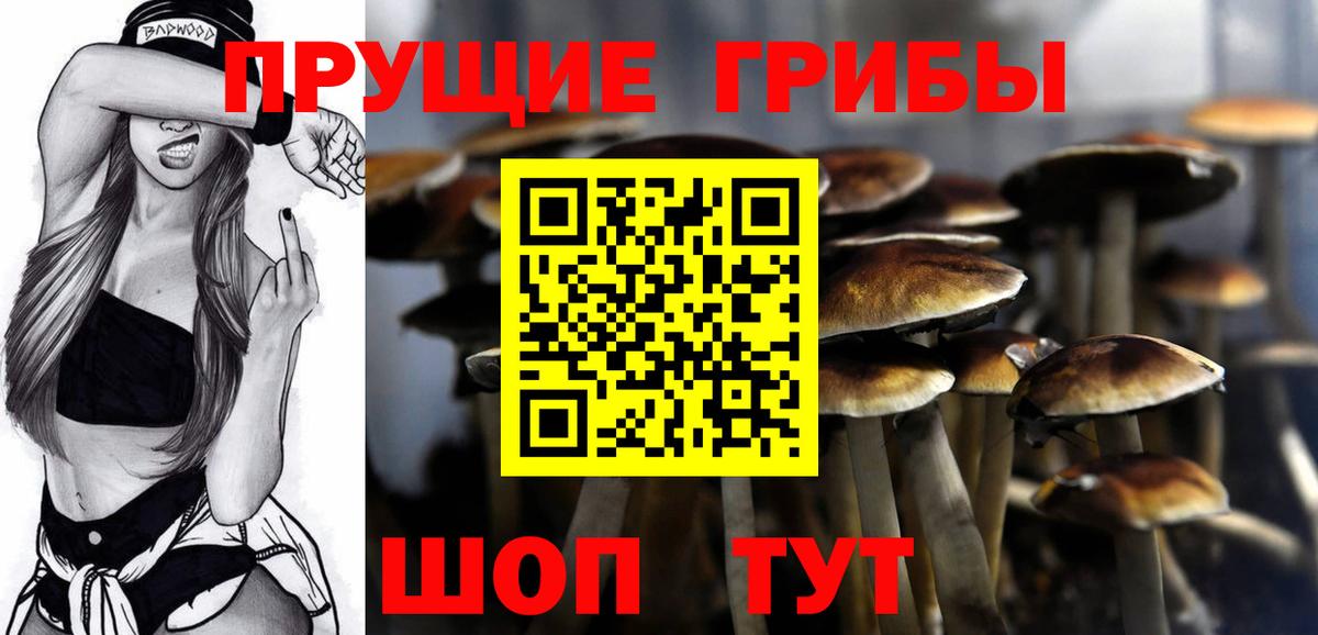 Псилоцибиновые грибы GOLDEN TEACHER Сатка